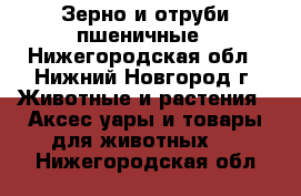 Зерно и отруби пшеничные - Нижегородская обл., Нижний Новгород г. Животные и растения » Аксесcуары и товары для животных   . Нижегородская обл.